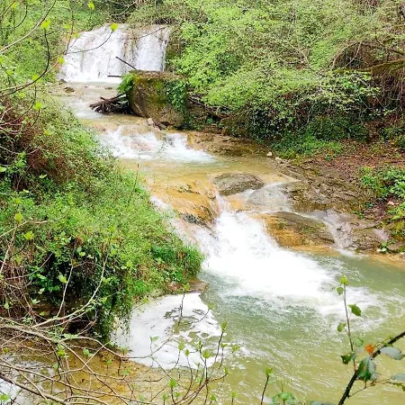 House Oleander In Der Toskana - - Mit Viel Sonne, Garten, Balkon Und Terrasse